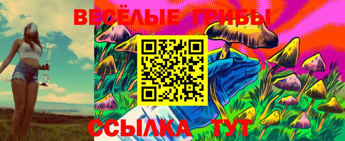 Псилоцибиновые грибы MAGIC MUSHROOMS  Псилоцибиновые грибы Psilocybe  Кемерово  продажа наркотиков  Вход с VPN 