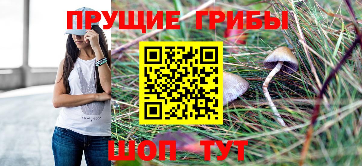 Галлюциногенные грибы мицелий Кемерово